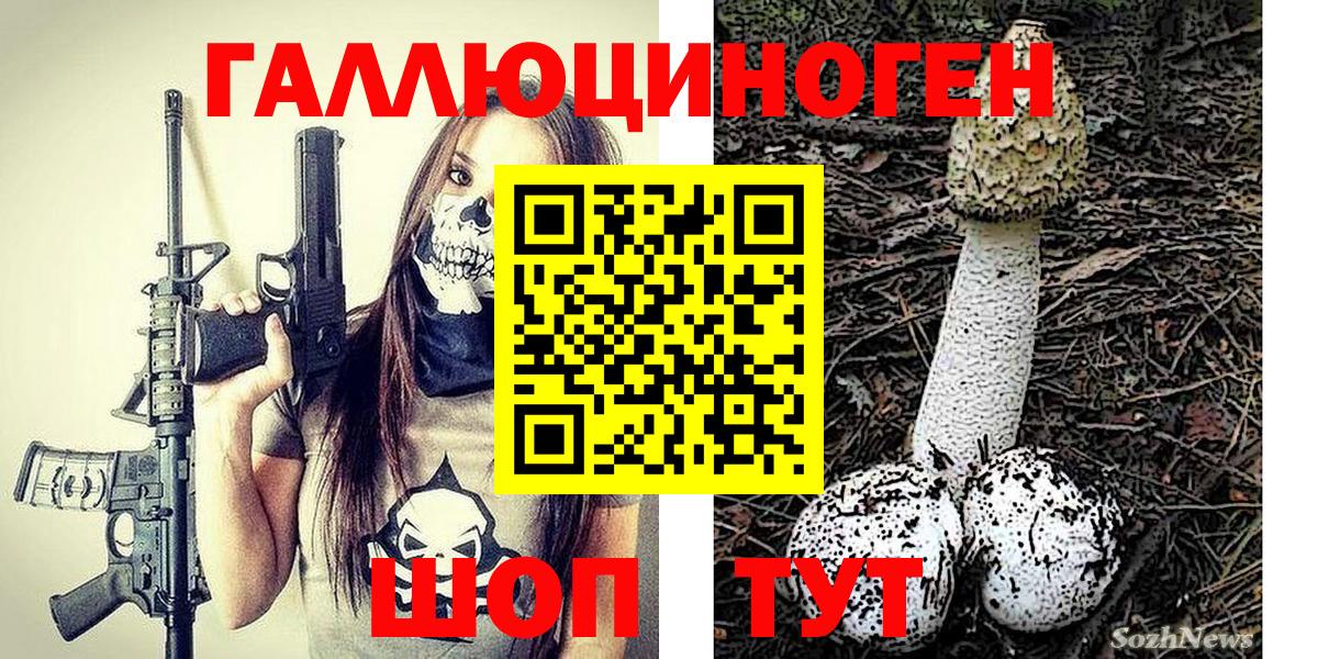 Галлюциногенные грибы Cubensis Шелехов