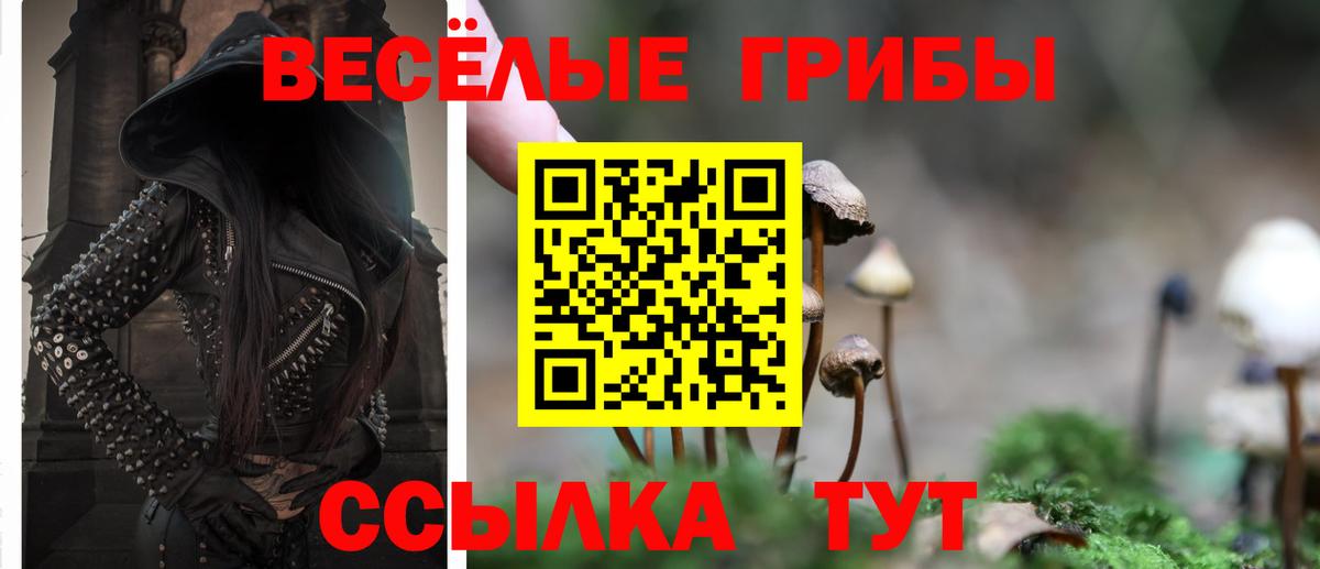 Шелехов  Галлюциногенные грибы MAGIC MUSHROOMS  Вход с VPN 